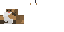Texture for Guinea Pig Fixed