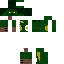 Texture for sorrel soup guy sorreline