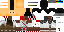 Texture for connor