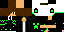 Texture for Flint2