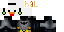Texture for nh