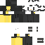 Texture for Duck