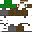 Texture for Grassblock