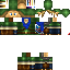 Texture for Link
