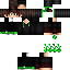 Texture for fs