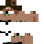 Texture for STEVE N