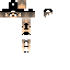 Texture for Bemo