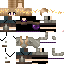 Texture for SkySoar11