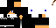 Texture for max321