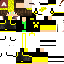 Texture for Leo