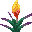 Texture for torchflower
