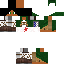 Texture for AOT EMERALDTURTLE2K (HURT)