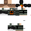 Texture for KleinPhantii