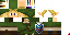 Texture for Link