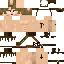 Texture for steve