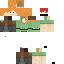 Texture for DS