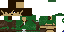 Texture for elf