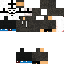 Texture for steve