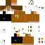 Texture for Lisek
