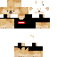 Texture for Doge