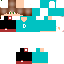 Texture for Nerd_Duster