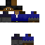 Texture for BlueKnightJoe