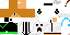 Texture for Maximcom copy