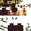 Texture for steve