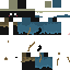 Texture for nwm 2
