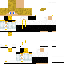 Texture for DylanMakeCombo