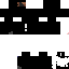 Texture for invasor cs4