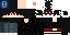 Texture for max