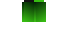 Texture for green elytra i think