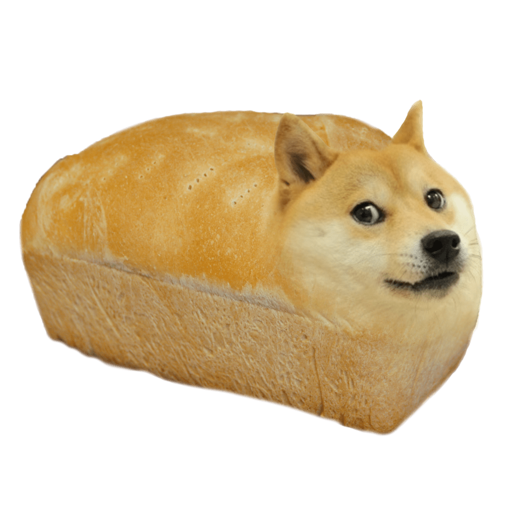 Texture for Doge Bread