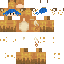 Texture for DekuFox