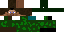 Texture for t.militair