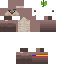 Texture for Otter