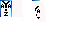 Texture for mant1