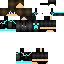 Texture for Lin1337