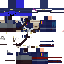 Texture for Wojtech