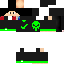 Texture for Faris