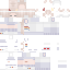 Texture for Tomato=)))