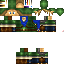 Texture for Link