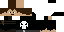 Texture for FlashPT