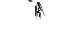 Texture for Shadow Elytra