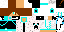 Texture for NickPlayer