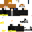 Texture for denos