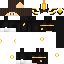 Texture for ImSim__