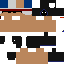 Texture for steveevil3889