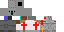 Texture for Templar